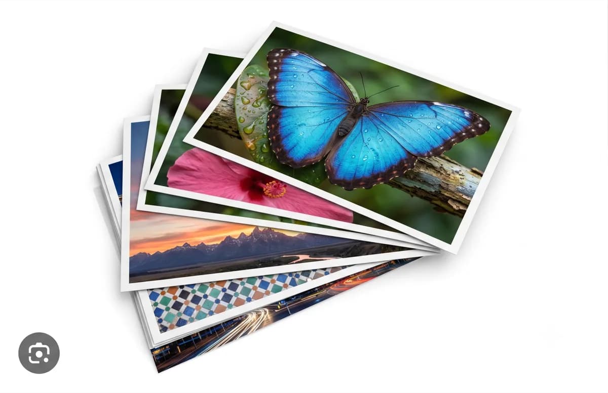 Colour copies - professional printing by Bluwave